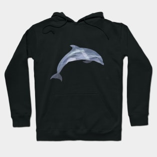 Dolphin Hoodie